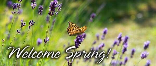 Purple flowers with a yellow butterfly and Welcome Spring! overlay